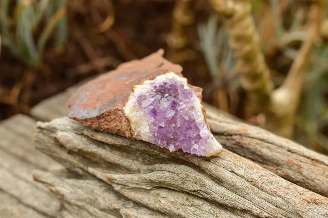Natural Amethyst & Basalt Geode Specimens x 12 From Zululand, South Africa