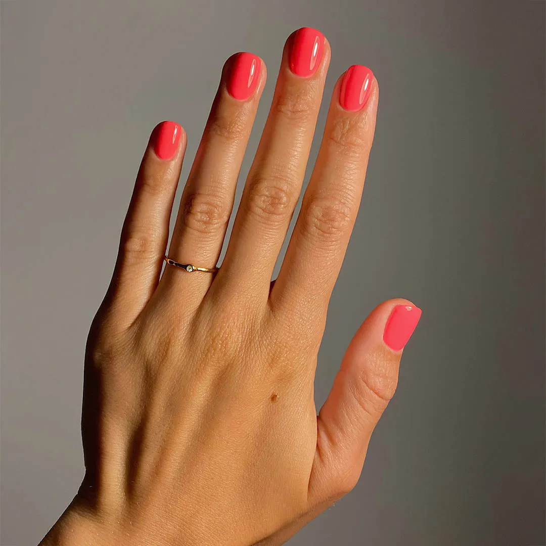 Rosa - Evo Gel