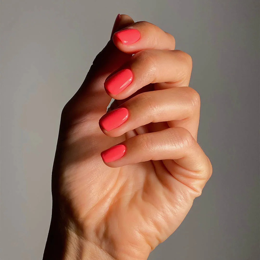 Rosa - Evo Gel